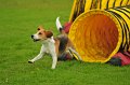 2013-05-19 um 11-03-03